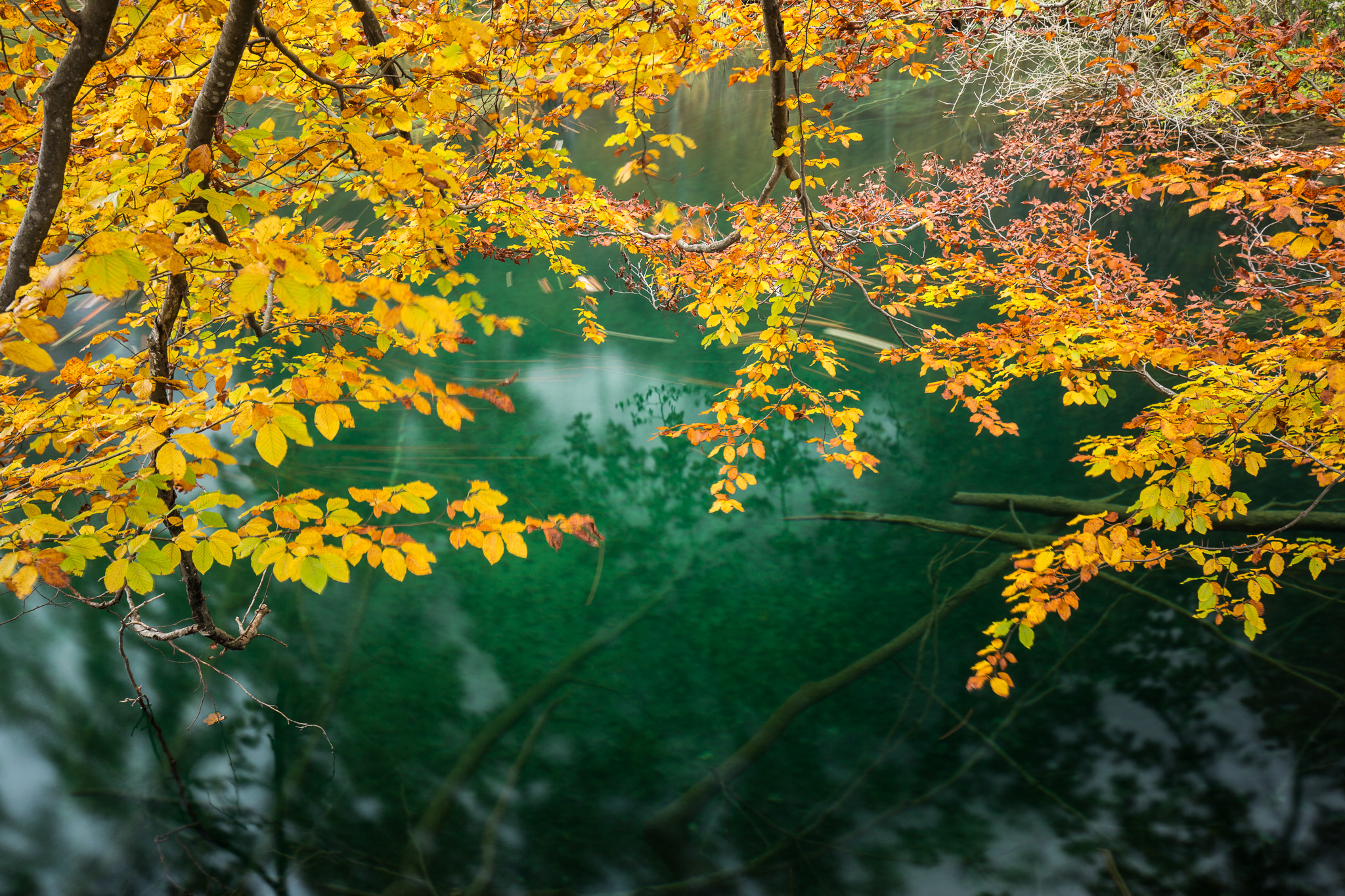 Laghi di Plitvice