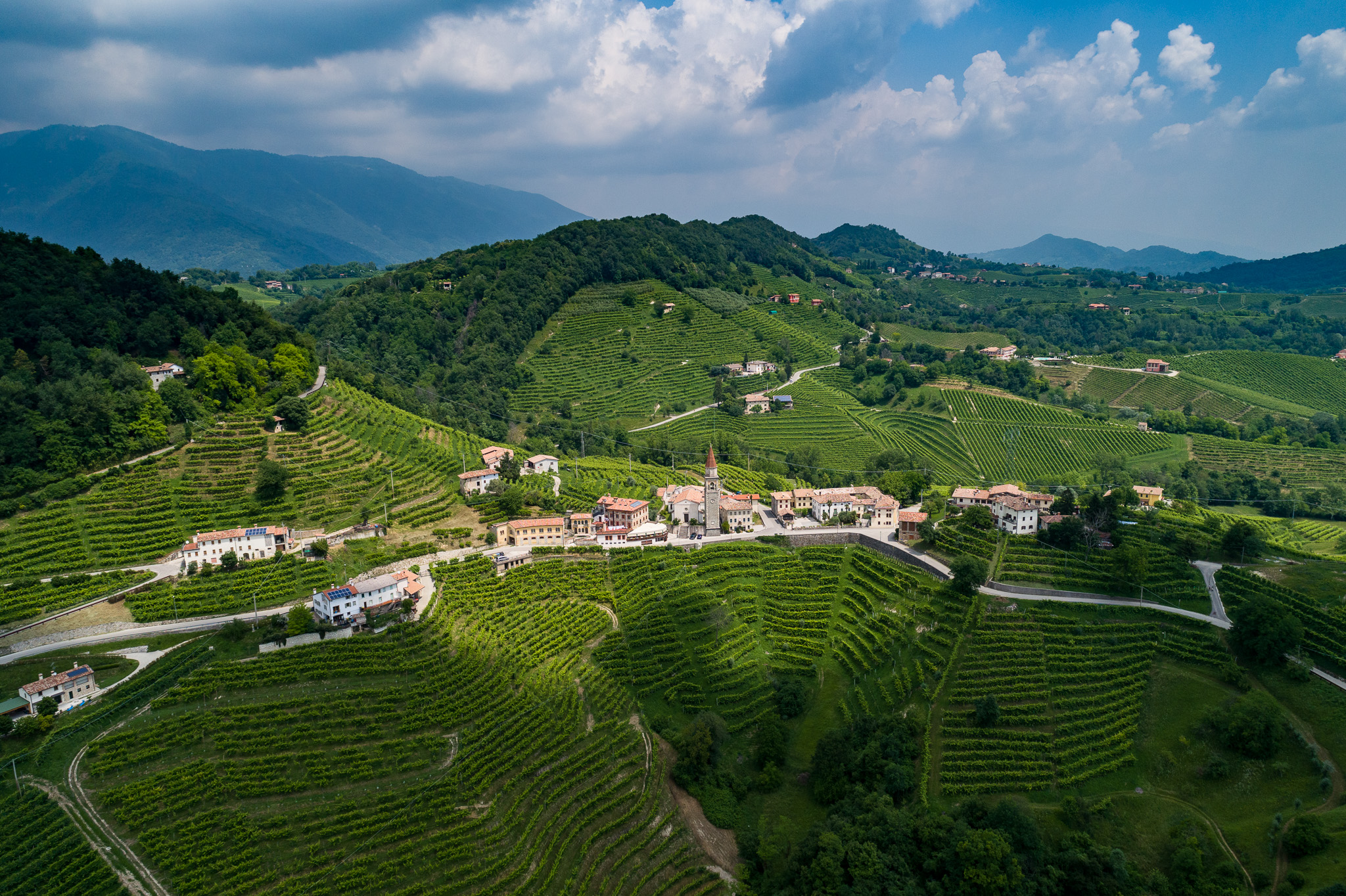 Colli Soligo